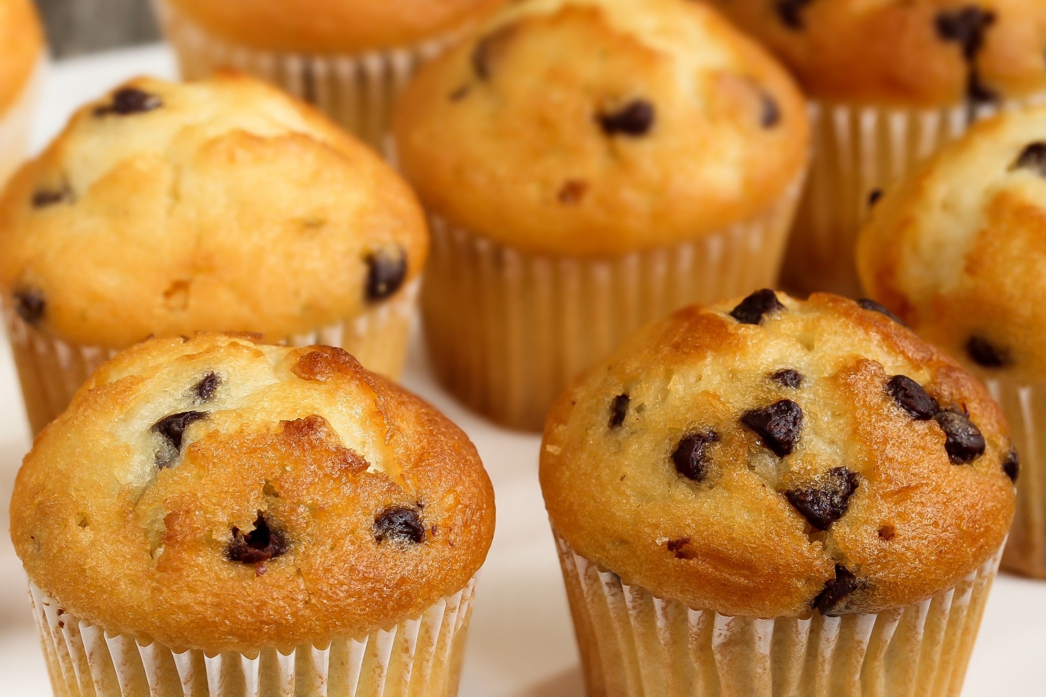 Keto Chocolate Chip Muffins