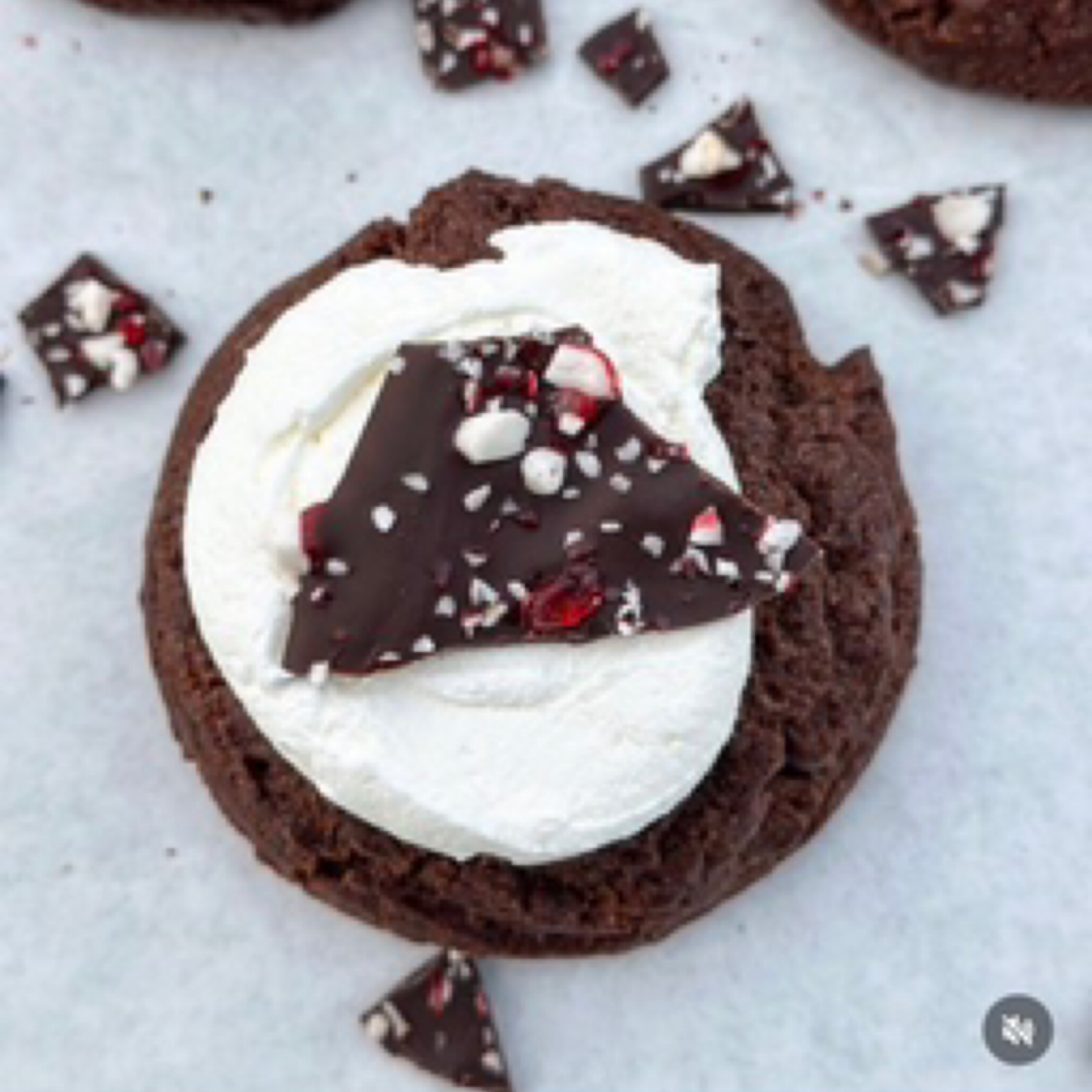 Chocolate Peppermint Cookie (V)
