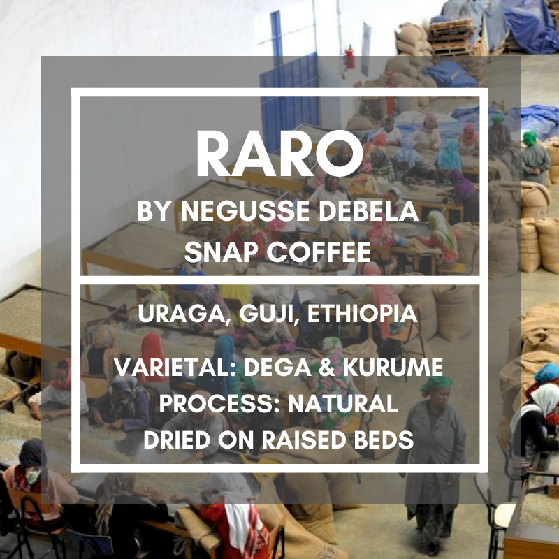 Raro, Ethiopia - Retail