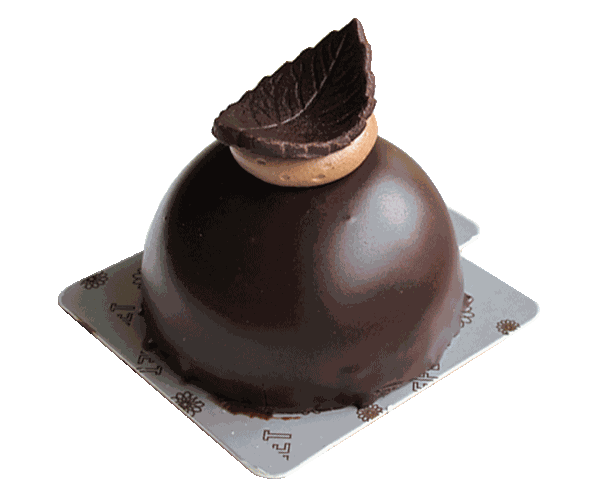 Mini Double Chocolate Mousse Pastry