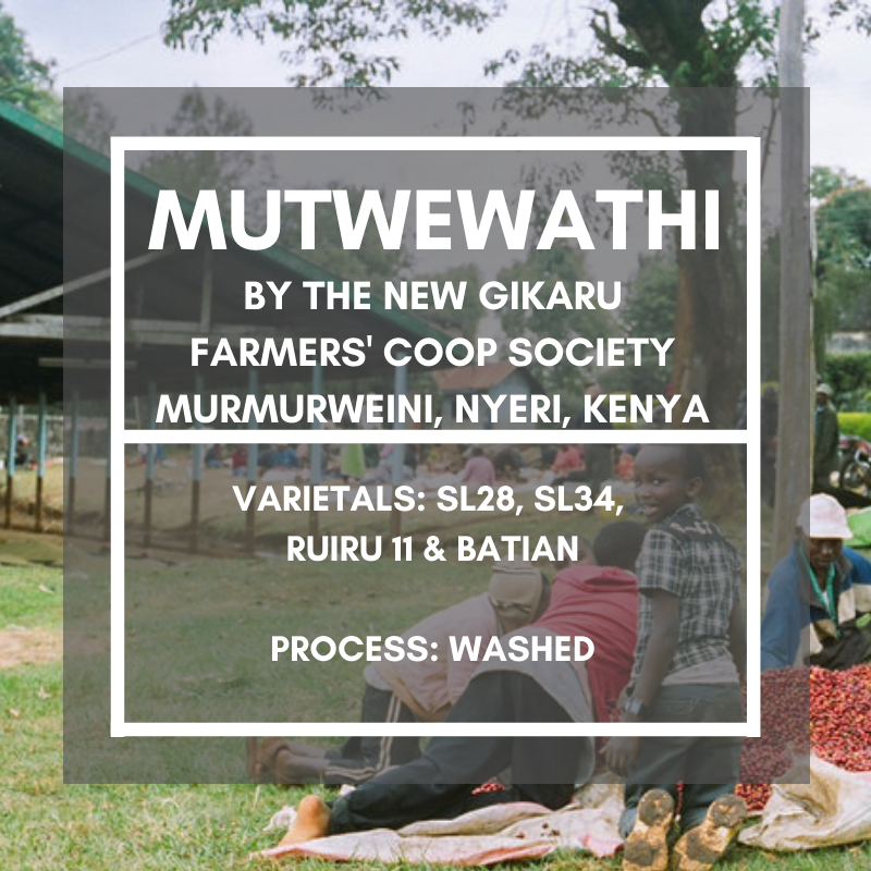Mutwewathi, Murkurweini, Kenya