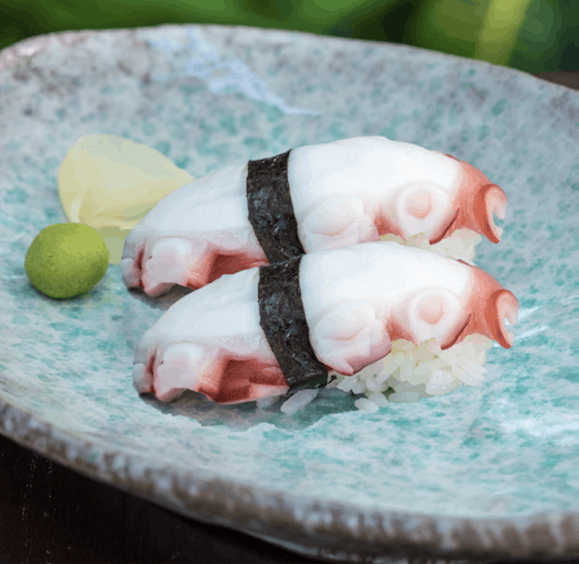 OCTOPUS NIGIRI & SASHIMI