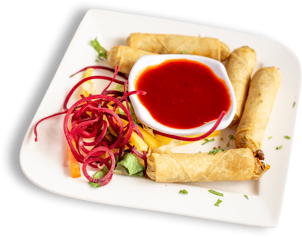 Vegetable Spring Rolls