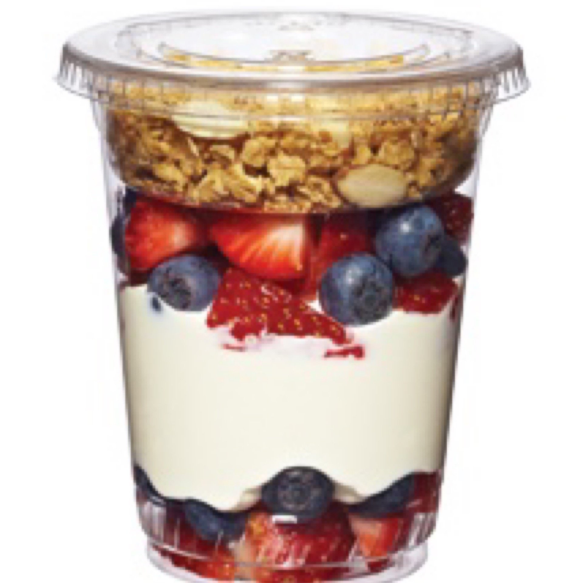 Individual Yoghurt Cups