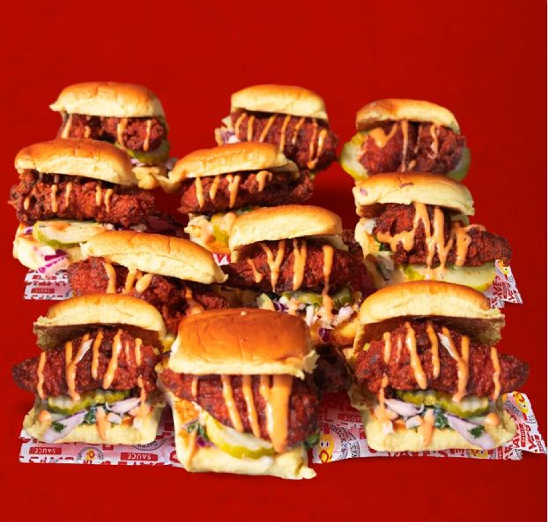Dave's Mini Slider Hot Box