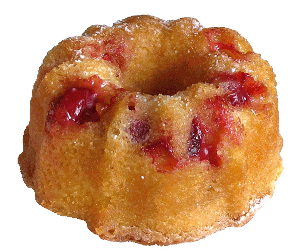 Mini Cranberry Orange Bundt