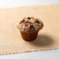 Blueberry Muffin