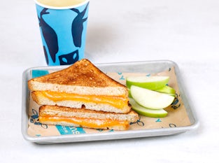 Grilled Cheddar Cheese Sandwich