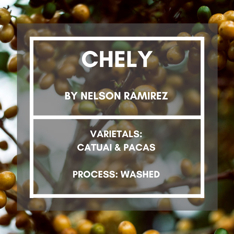 Chely Honduras - Retail