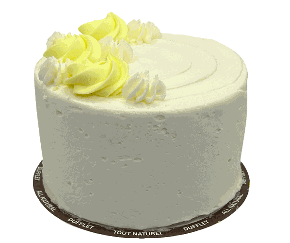 Vegan Vanilla Cake