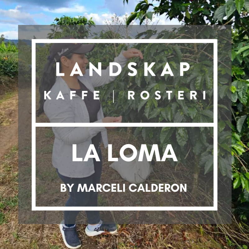 La Loma, Huila, Colombia
