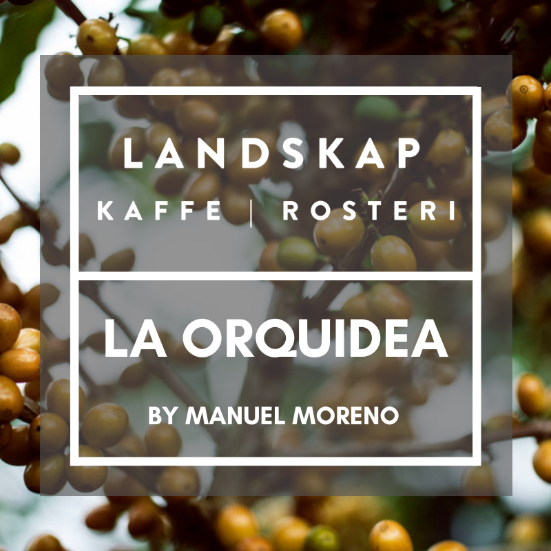 La Orquidea, Santa Barbara, Honduras