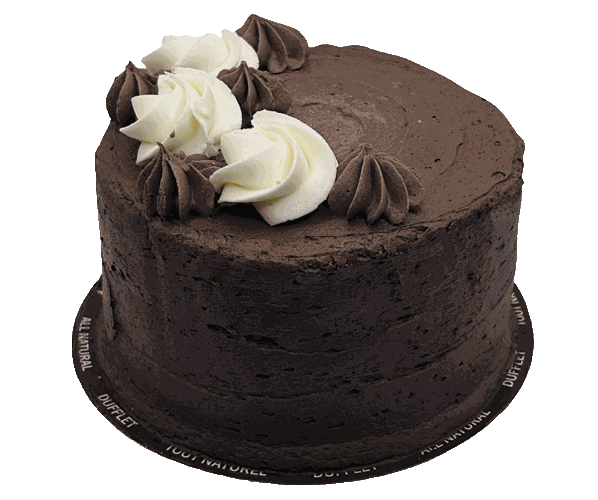 Vegan Chocolate Cake