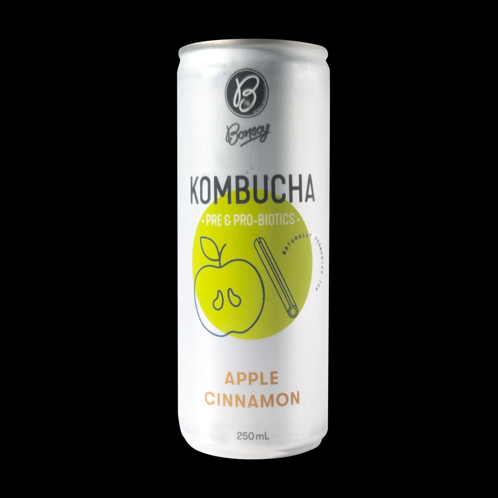 Apple Cinnamon Kombucha
