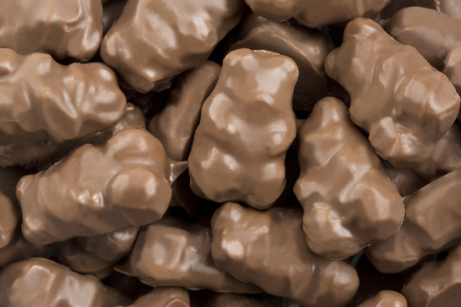 Chocolate Gummy Bears 5/$1.00